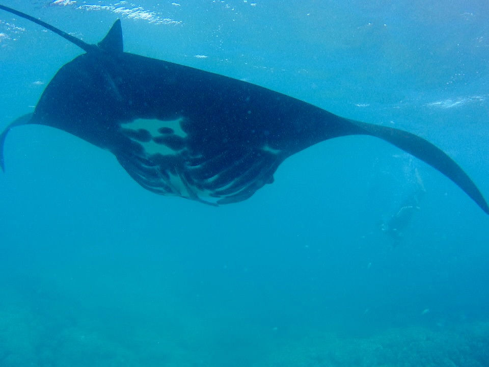 42C3D3C0 4456 458E 9899 157F55BB6B83 1 201 a Der Reiseblog f&uuml;r allein reisende Frauen