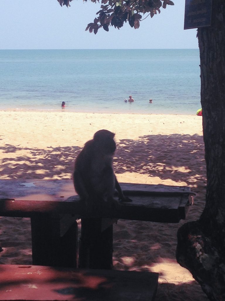 IMG 0549 1 Der Reiseblog f&uuml;r allein reisende Frauen