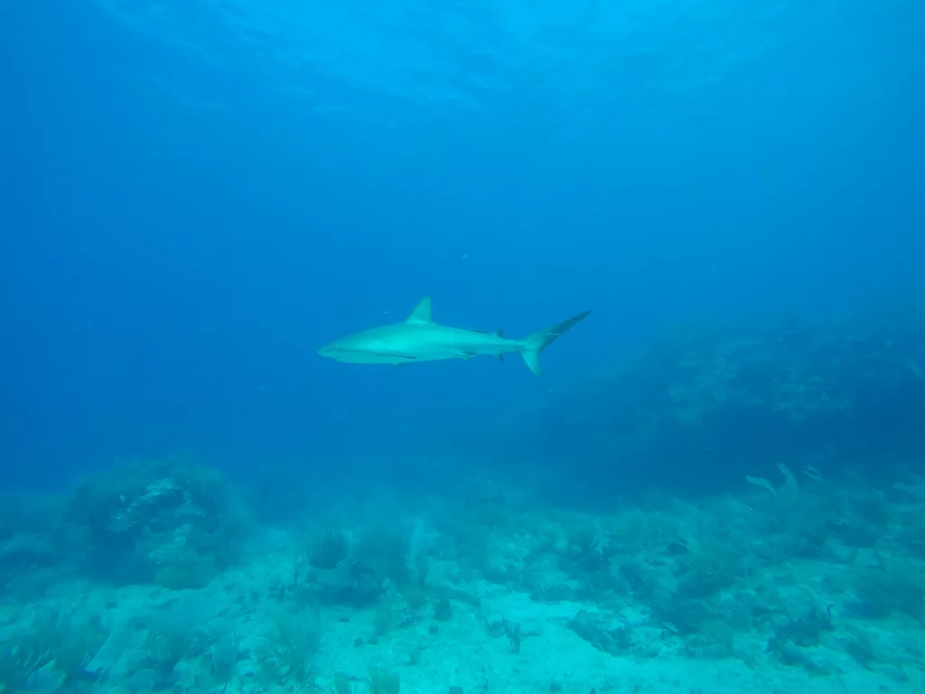 GOPR0349 Der Reiseblog f&uuml;r allein reisende Frauen