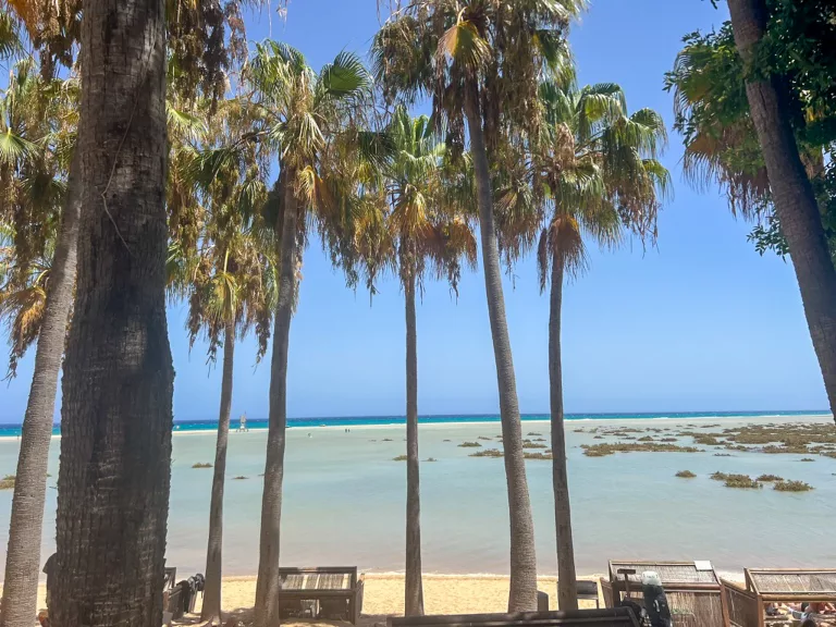 Blick von der Kitestation von Rene Egli am Sotavento Beach mit Palmen aufs offene Meer.
